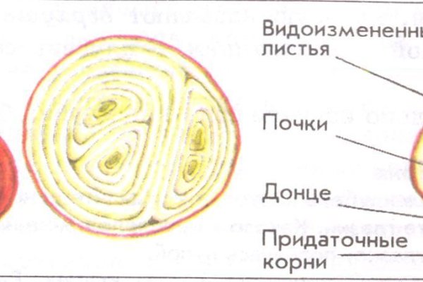 Ссылки зеркала на kraken