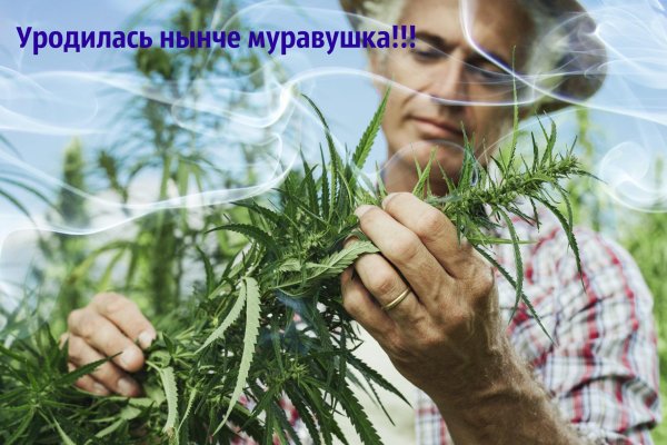 Где найти рабочую ссылку кракен