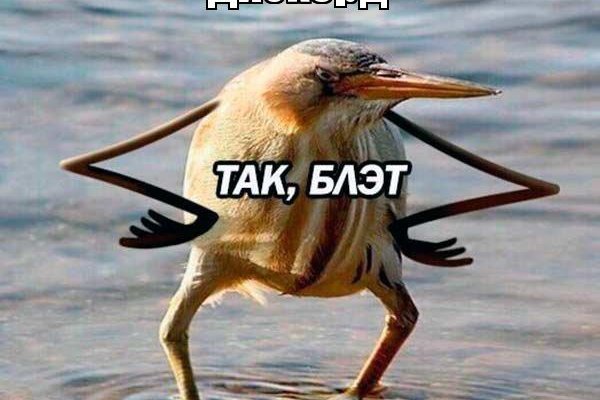 Кракен наркоторговец