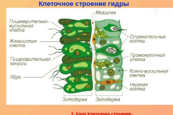 Официальный сайт даркнета