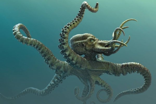 Kraken официальное зеркало kraken dark link