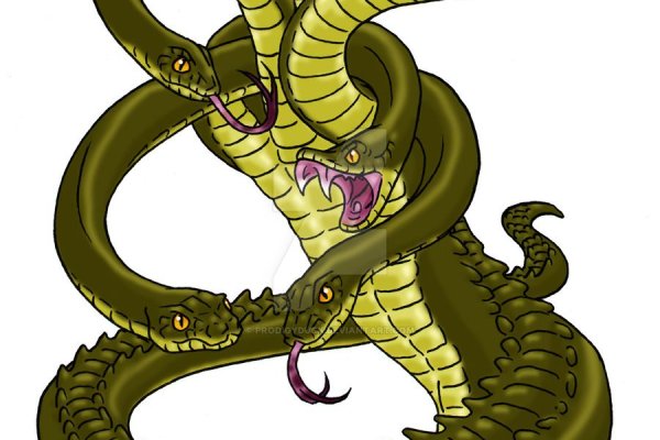 Kraken kraken dark link
