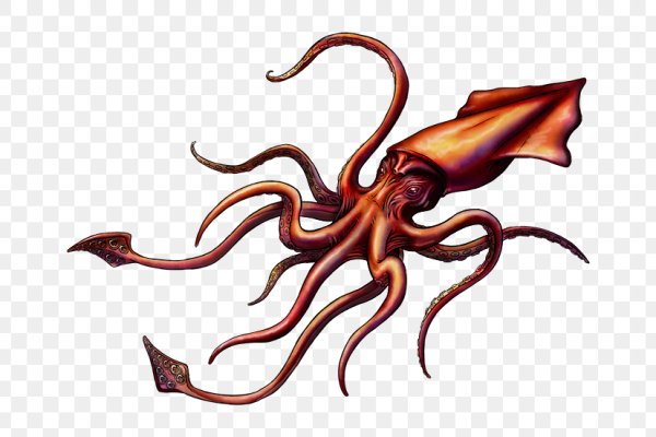 2kr pro kraken