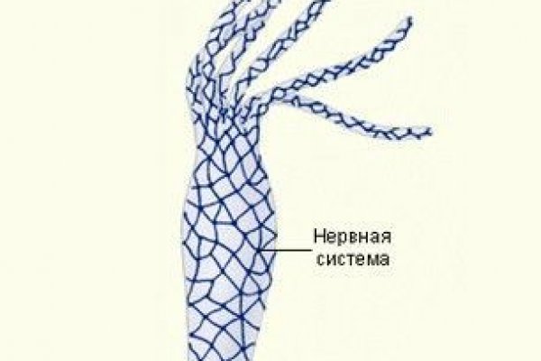 Сайт krn