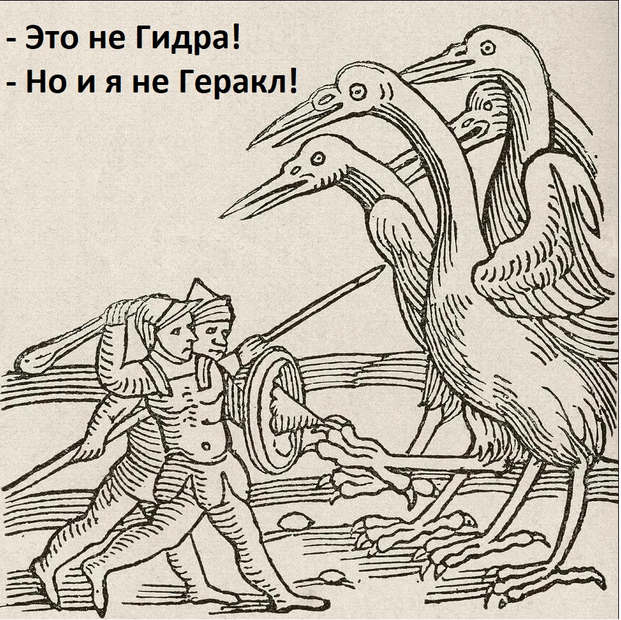 Kraken рынок